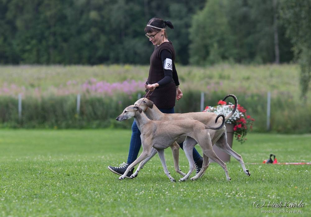 © Heidi Koivula